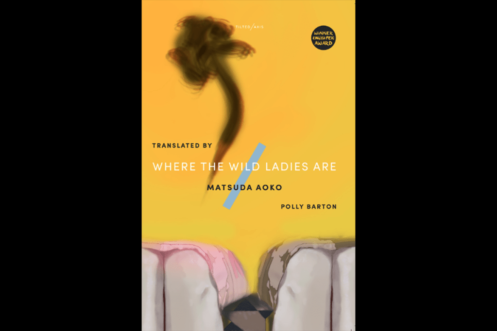 Translated Fiction Book Club: ‘Where the Wild Ladies&nbsp;Are’